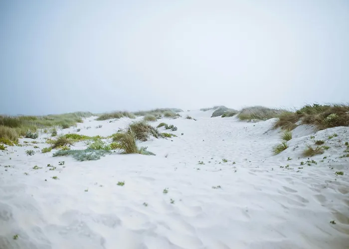 Appartement Marina - *