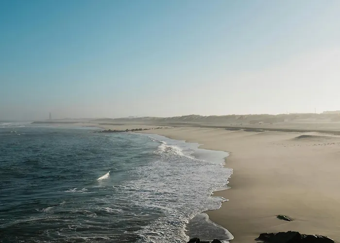 Marina - Appartement